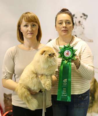 �������� ����� 18-19 ������� 2014 WCF-����� 9-187-169A3987 copy.jpg